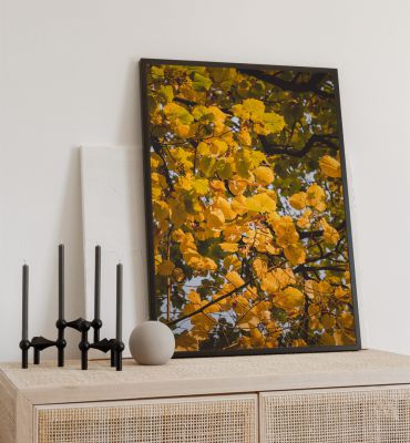 Poster Herbstbaum Hauptbild mit Beispiel