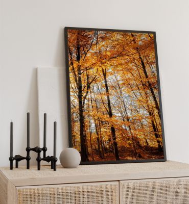 Poster Wald im Herbst Hauptbild mit Beispiel
