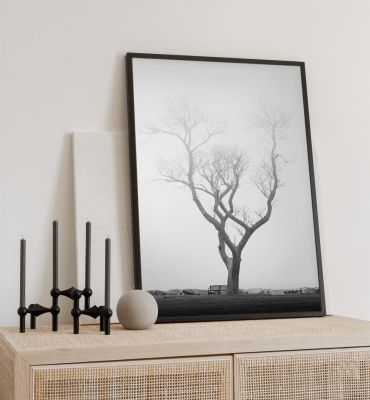 Poster Nebelverhüllter alter Baum Hauptbild mit Beispiel