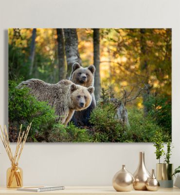 Leinwandbild Bär im Wald Hauptbild mit Beispiel