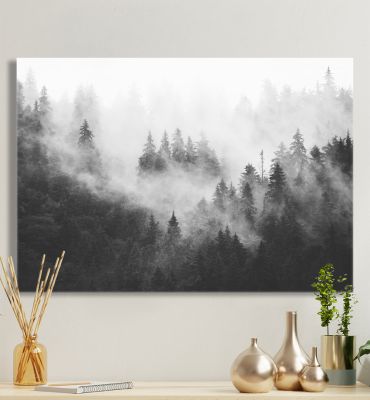 Leinwandbild Nebelwald schwarz - weiß Hauptbild mit Beispiel