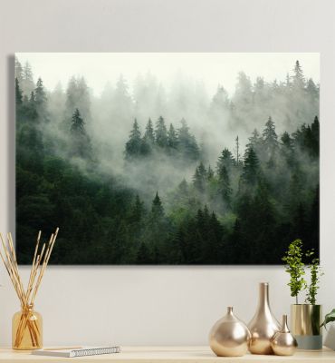 Leinwandbild Nebelwald Hauptbild mit Beispiel