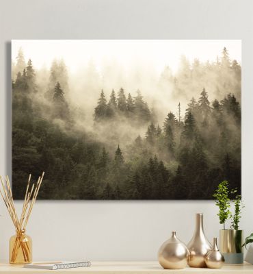 Leinwandbild Nebelwald beige Hauptbild mit Beispiel