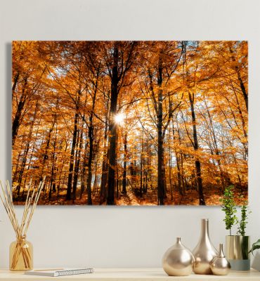 Leinwandbild Herbstwald Hauptbild mit Beispiel