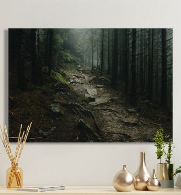 Leinwandbild Steiniger Waldweg Hauptbild mit Beispiel