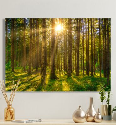 Leinwandbild Wald in den Dolomiten Hauptbild mit Beispiel