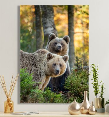 Leinwandbild Bär im Wald Hauptbild mit Beispiel