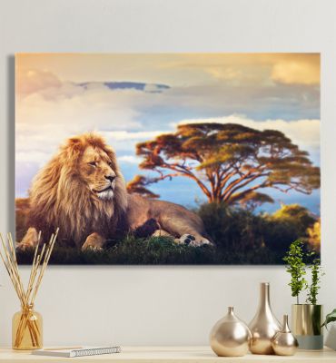 Leinwandbild Löwe Savanne Hauptbild mit Beispiel
