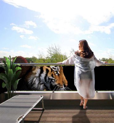 Balkonbanner fokusierter Tigerblick seitlich