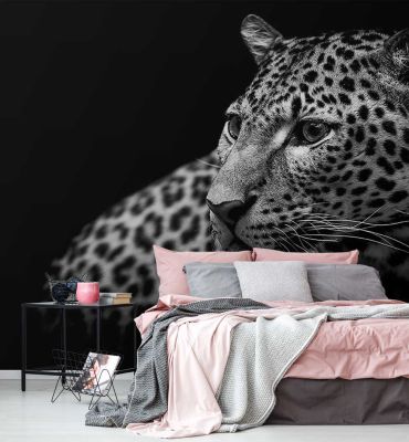 Fototapete Leopard grau