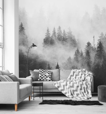 Fototapete Nebliger Wald Schwarz-Weiß Hauptbild mit Beispiel