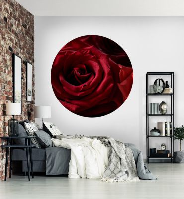 Fototapete Rote Rosen rund Hauptbild mit Beispiel