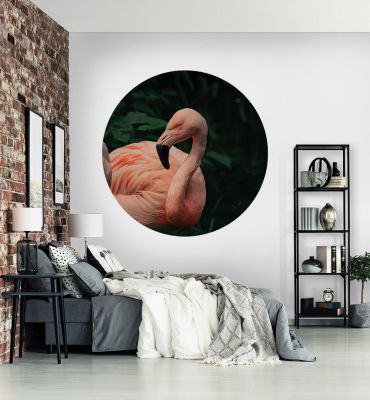 Fototapete Flamingo rund