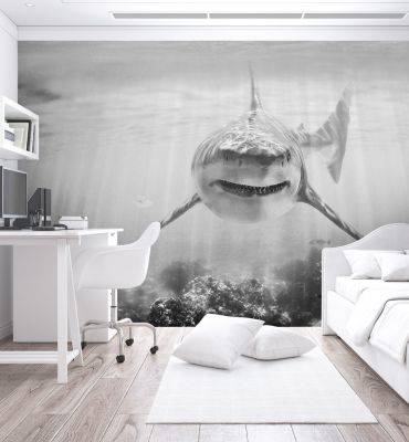 Fototapete Raubfisch Hai schwarz weiß Hauptbild mit Beispiel