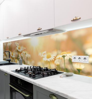 Küchenrückwand Blumenwiese Margeriten selbstklebend Hauptbild mit Beispiel
