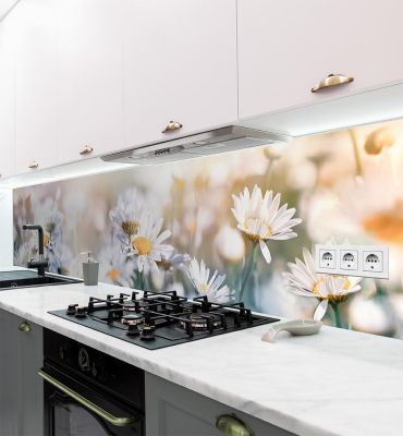 Küchenrückwand Blumen Margeriten selbstklebend Hauptbild mit Beispiel
