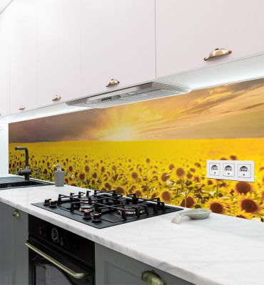 Küchenrückwand Feld aus Sonnenblumen selbstklebend Hauptbild mit Beispiel
