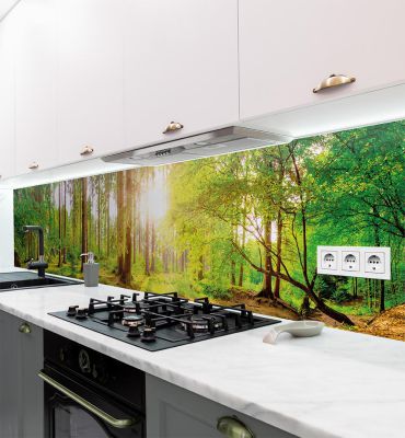 Küchenrückwand Wald selbstklebend Hauptbild mit Beispiel