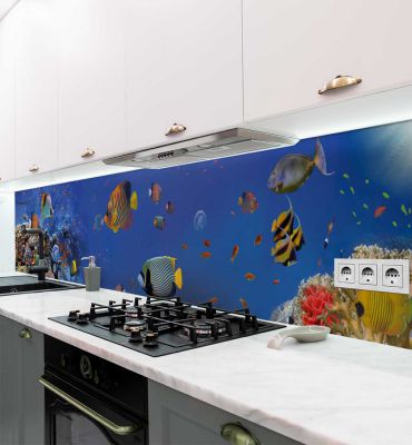 Küchenrückwand Korallenriff im Ozean selbstklebend Hauptbild mit Beispiel