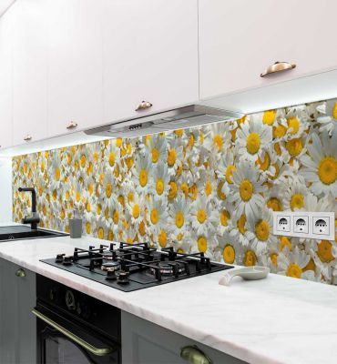 Küchenrückwand Kamillenfeld selbstklebend Hauptbild mit Beispiel