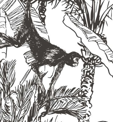 Küchenrückwand Dschungel Zeichnung mit Affen selbstklebend Detailansicht