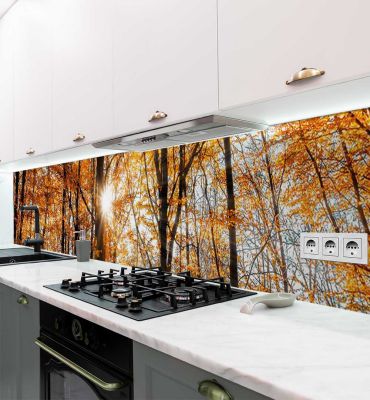 Küchenrückwand Sonnenschein im Herbstwald selbstklebend Hauptbild mit Beispiel