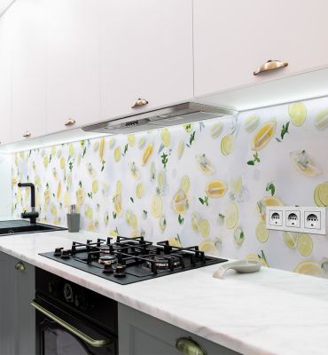 Küchenrückwand Gefrorene Zitrusfrüchte selbstklebend Hauptbild mit Beispiel