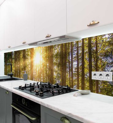 Küchenrückwand Waldlichtung im Frühling selbstklebend Hauptbild mit Beispiel