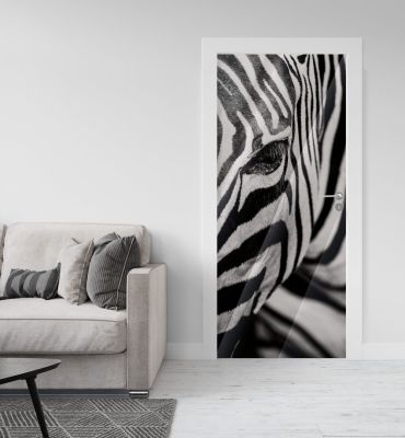 Türtapete Silberfolie Zebra Hauptbild mit Beispiel