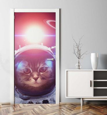 Türtapete Astronaut Katze Hauptbild mit Beispiel